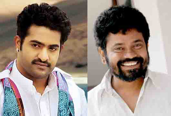 ntr and sukumar combo movie starts from july 6th,ntr new movie in london,bvsn prasad producing ntr new movie,ntr new movie details  ఎన్టీఆర్‌, సుకుమార్‌ సినిమాకి ఇంకా సస్పెన్సేనా?